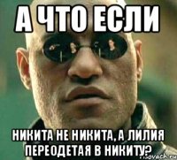 А что если Никита не Никита, а Лилия переодетая в Никиту?