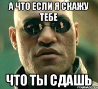 А что если я скажу тебе что ты сдашь