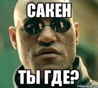 Сакен ты где?