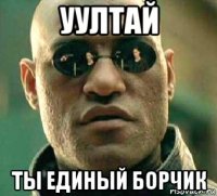 уултай ты единый борчик