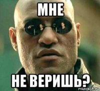 мне не веришь?