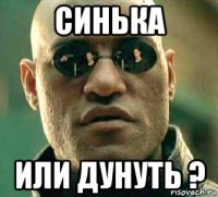 синька или дунуть ?