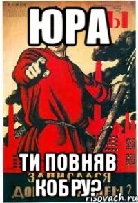 юра ти повняв кобру?