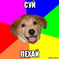 суй пехай