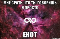 мне срать что ты говоришь я просто енот