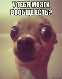 у тебя мозги вообще есть? 