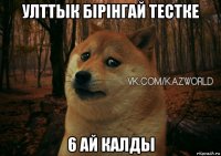 улттык бірінгай тестке 6 ай калды