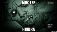 мистер няшка