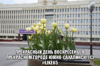  прекрасный день воскресенье в прекрасном городе южно-сахалинск! (с) #like65