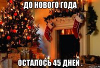 до нового года осталось 45 дней .