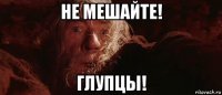 не мешайте! глупцы!