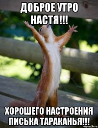 доброе утро настя!!! хорошего настроения писька тараканья!!!