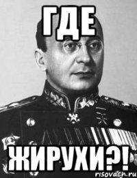 Где Жирухи?!