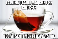 la mine ceaiul mai greu se raceste decat sentimentele voastre