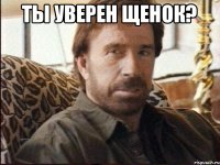 ты уверен щенок? 