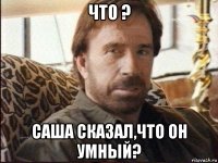 что ? саша сказал,что он умный?