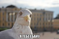  Я ТЕБЕ ЕБАНУ