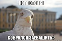 кого это ты собрался заебашить?