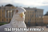  тебе проблемы нужны ?