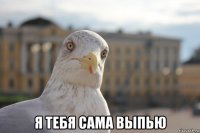  я тебя сама выпью