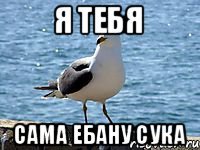 Я тебя сама ебану сука