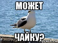 может чайку?