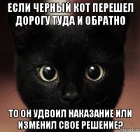 если черный кот перешел дорогу туда и обратно то он удвоил наказание или изменил свое решение?