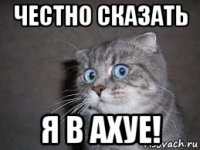 честно сказать я в ахуе!