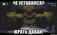 че уставился? жрать давай!