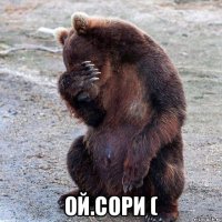  ой.сори (