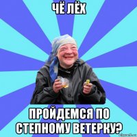 чё лёх пройдемся по степному ветерку?