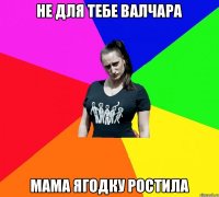 не для тебе валчара мама ягодку ростила