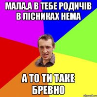 мала,а в тебе родичів в лісниках нема а то ти таке бревно