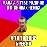 мала,а в тебе родичів в лісниках нема? а то ти таке бревно