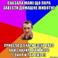 Сказала мамі що пора завести домашне животне привела до хати Едіка тато каже нахира нам його свиня й так вже є!