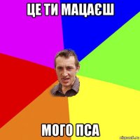 це ти мацаєш мого пса