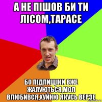 а не пішов би ти лісом,тарасе бо підпищіки вже жалуються,мол влюбився,хуйню якусь верзе