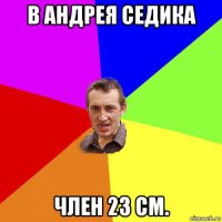 в андрея седика член 23 см.