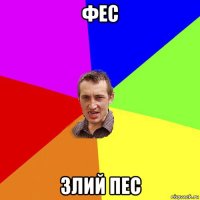 фес злий пес