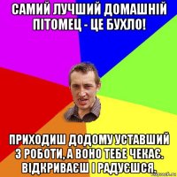 самий лучший домашній пітомец - це бухло! приходиш додому уставший з роботи, а воно тебе чекає. відкриваєш і радуєшся.