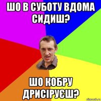 шо в суботу вдома сидиш? шо кобру дрисіруєш?