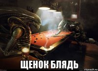  щенок блядь