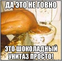 да это не говно это шоколадный унитаз просто!