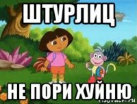 штурлиц не пори хуйню
