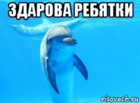 здарова ребятки 
