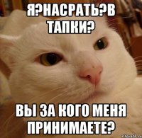 Я?насрать?В тапки? Вы за кого меня принимаете?