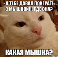 - я тебе давал поиграть с мышкой!!! Где она? Какая мышка?