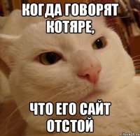 когда говорят котяре, что его сайт отстой