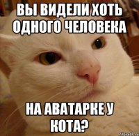 Вы видели хоть одного человека на аватарке у кота?