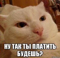  Ну так ты платить будешь?